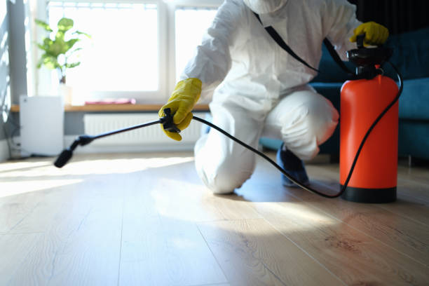 Reliable Odor Removal contractor in Belfair, WA by Trauma Clean Pros