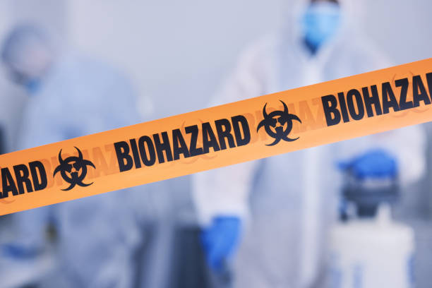 Professional Odor Removal technician working in Belfair, WA